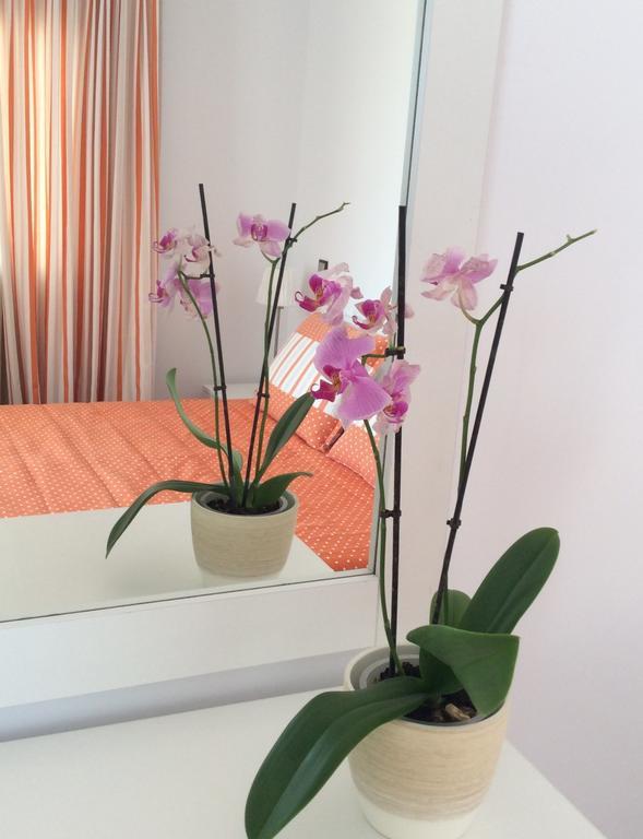 Katerina Apartments & Studios Науса Екстериор снимка